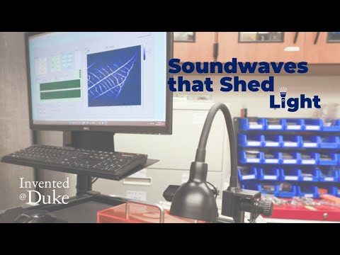 Seeing Sound Waves [Video]