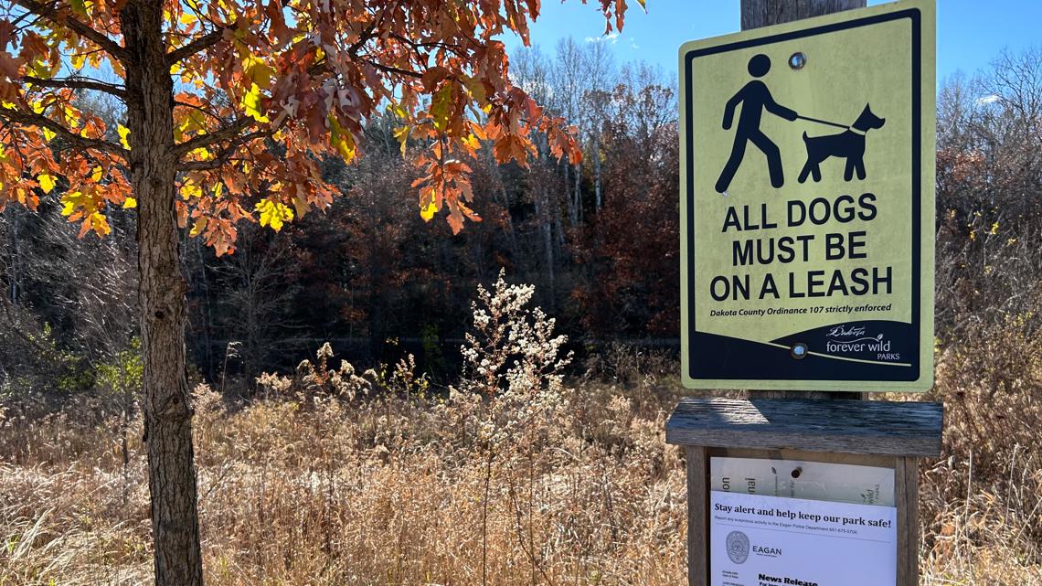 Eagan Police looking for suspects who attacked 2 women at a park [Video]