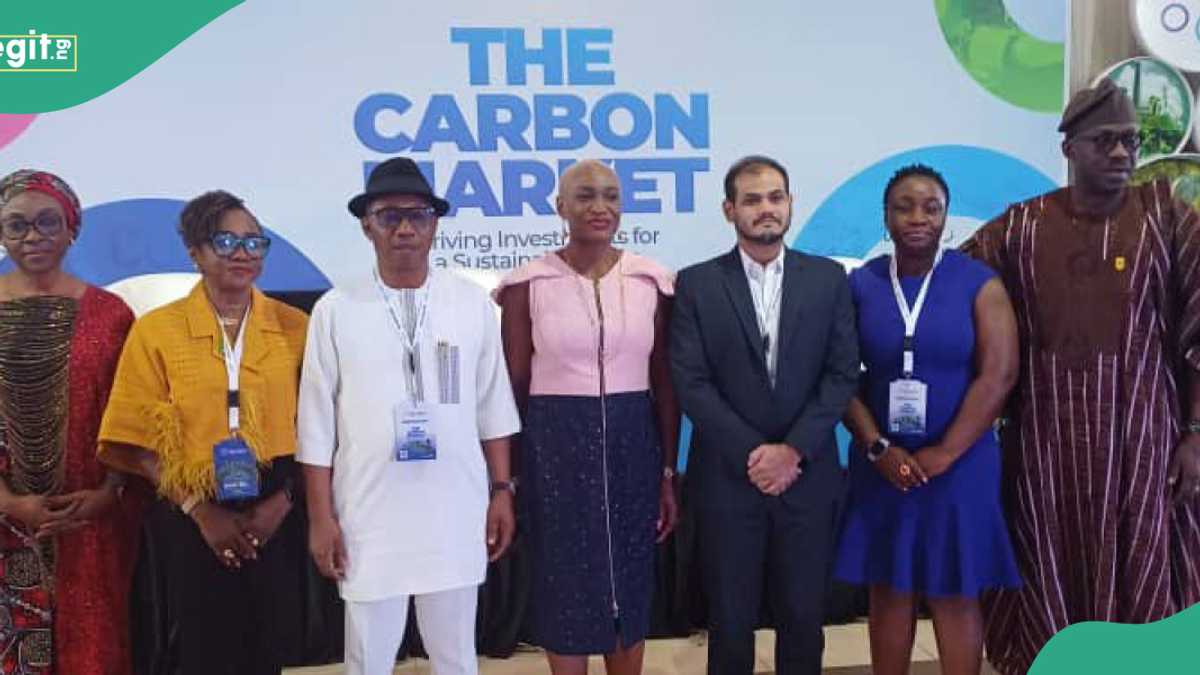 Power of Carbon Market: Private Sector Leaders Chart Path for Sustainable Development in Africa [Video]