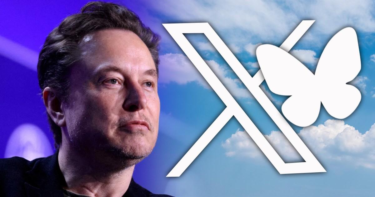 Bluesky user count booming after Elon Musk teams up with Trump  what is it? | Tech News [Video]