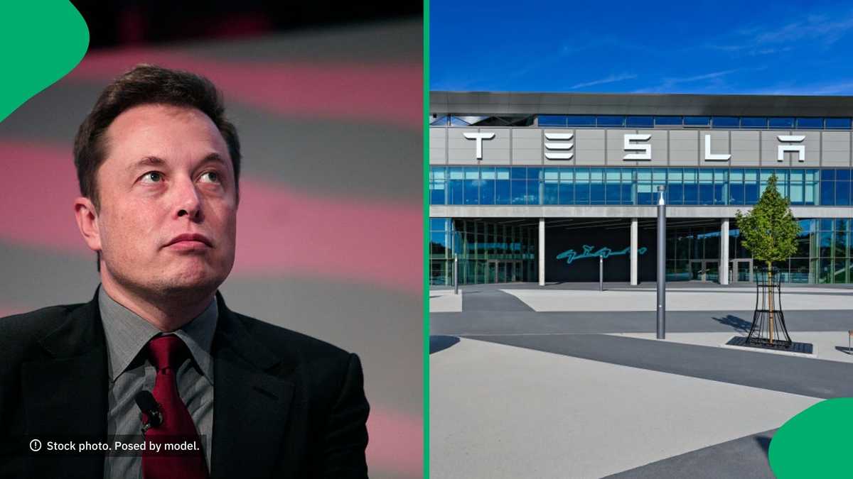 Tesla Model Y Crash Claims 4 Lives As Electronic Doors Fail, Netizens React: Sue Elon Musk [Video]