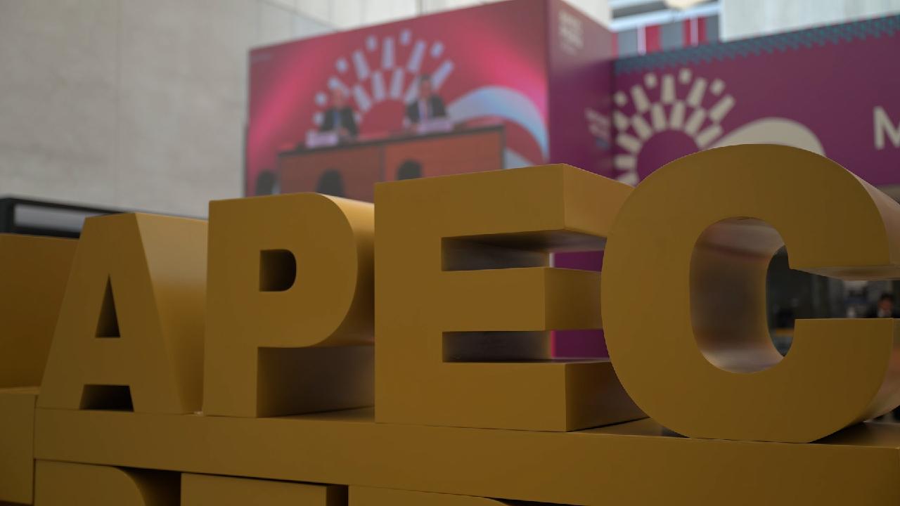 APEC officials outline goals for future trade, collaboration [Video]