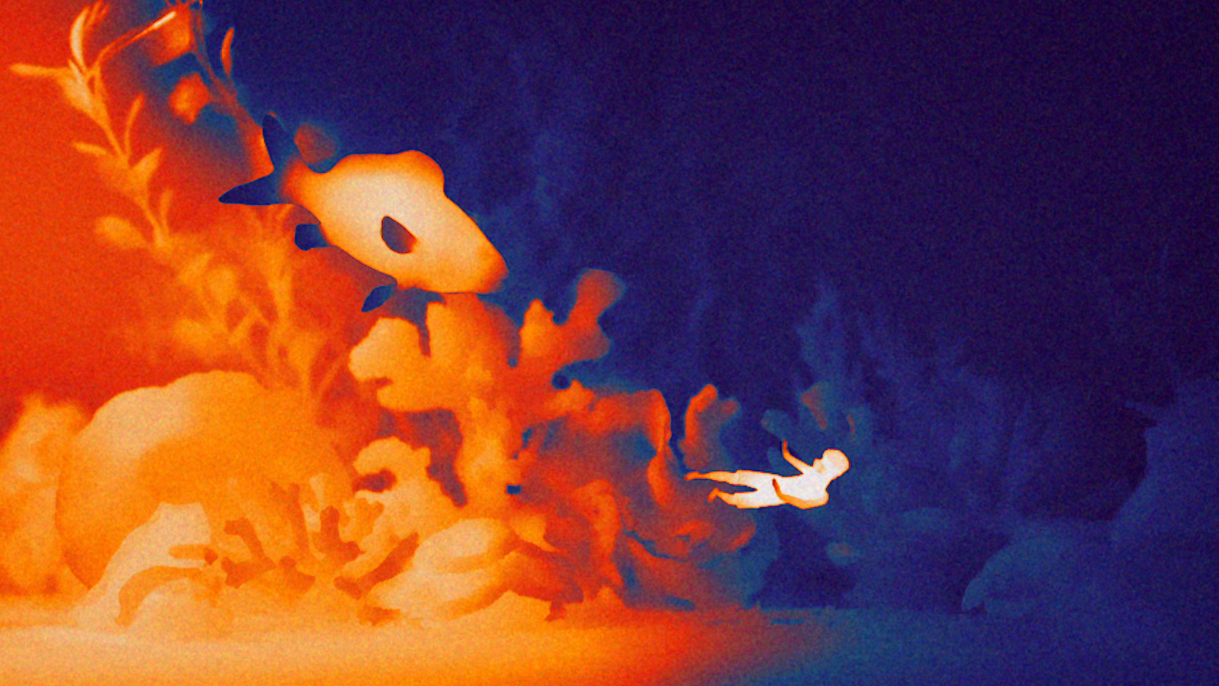 Watch How NOMINT Animated the WWF COP29 Film With Thermal Stop-Motion – Motion design [Video]