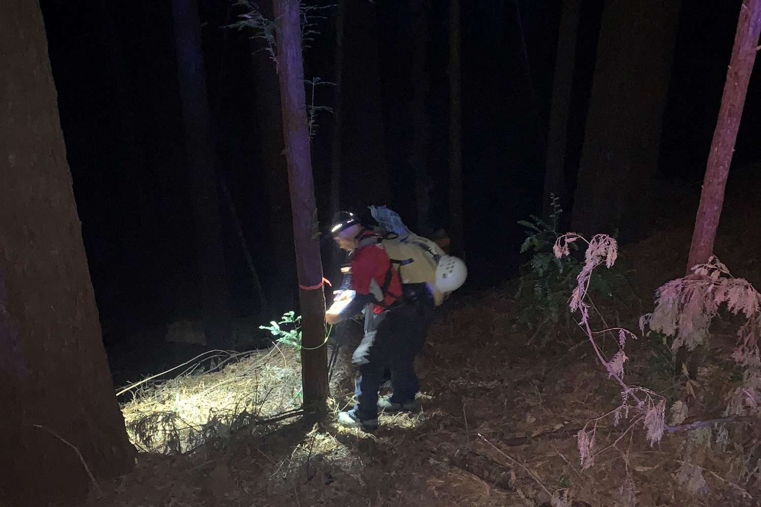 Missing Hiker Found Alive in Frigid Temperatures [Video]