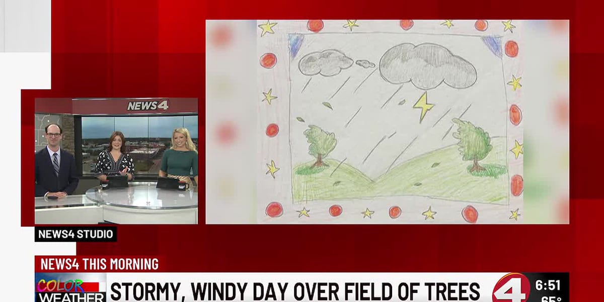 Color The Weather 11-14-24 [Video]