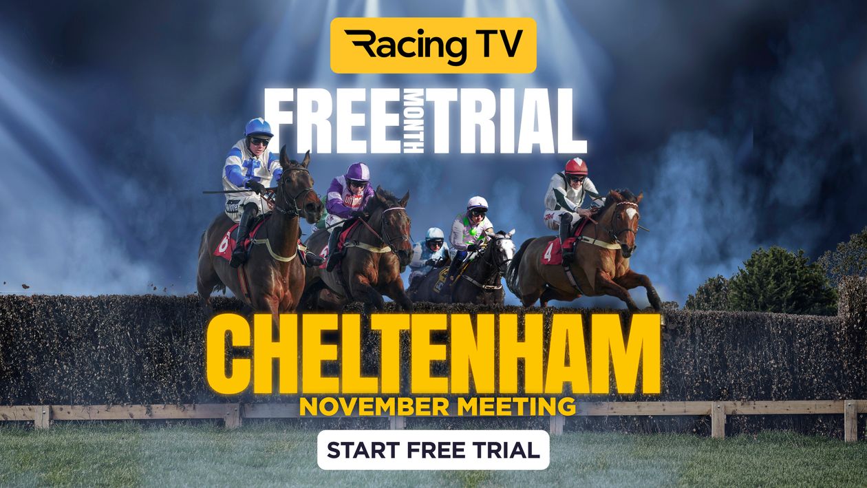 Watch every race live from Cheltenham this weekend for free on Racing TV [Video]