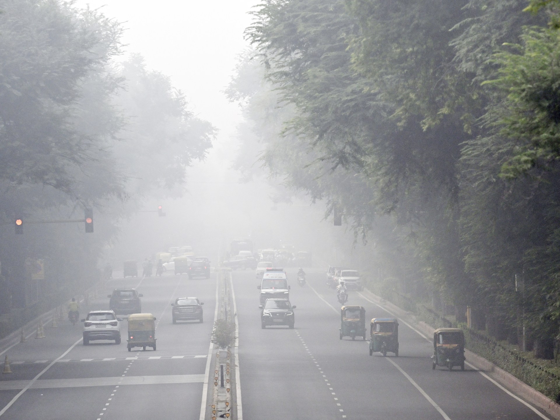 Indias capital New Delhi shuts all primary schools as air quality worsens | Climate News [Video]