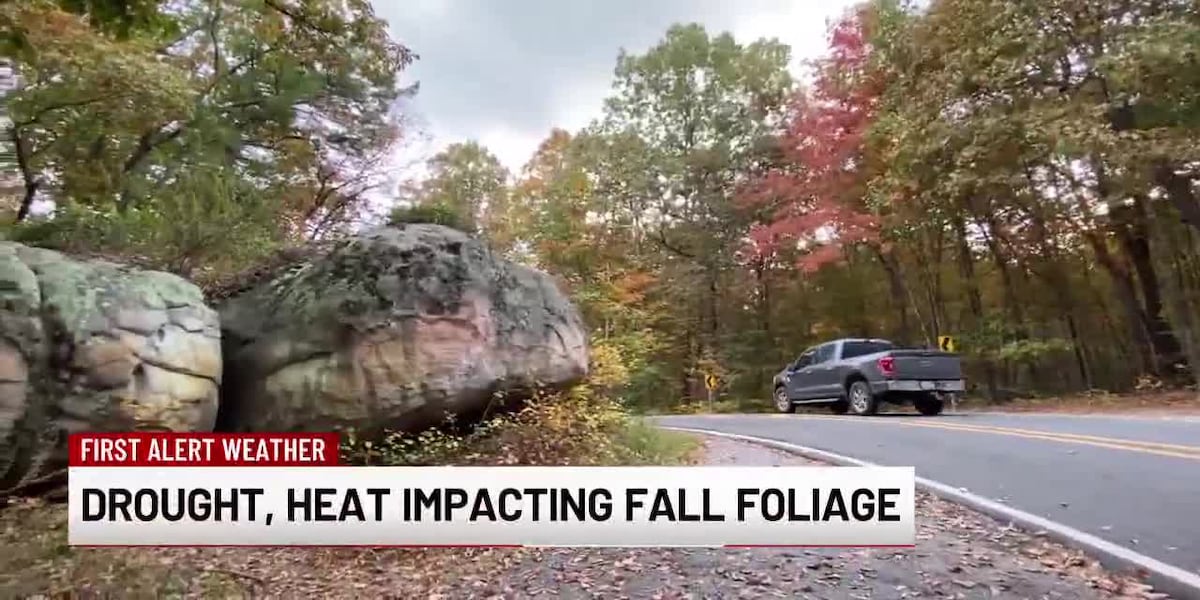 Drought and heat taking a toll on fall foliage [Video]