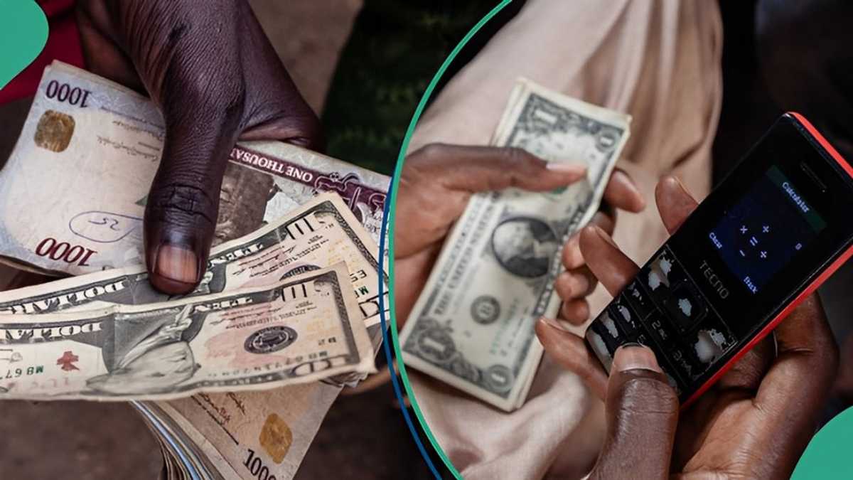 After Falling to Record Low, Naira Bounces Back, Appreciates by 2.6% against Dollar [Video]