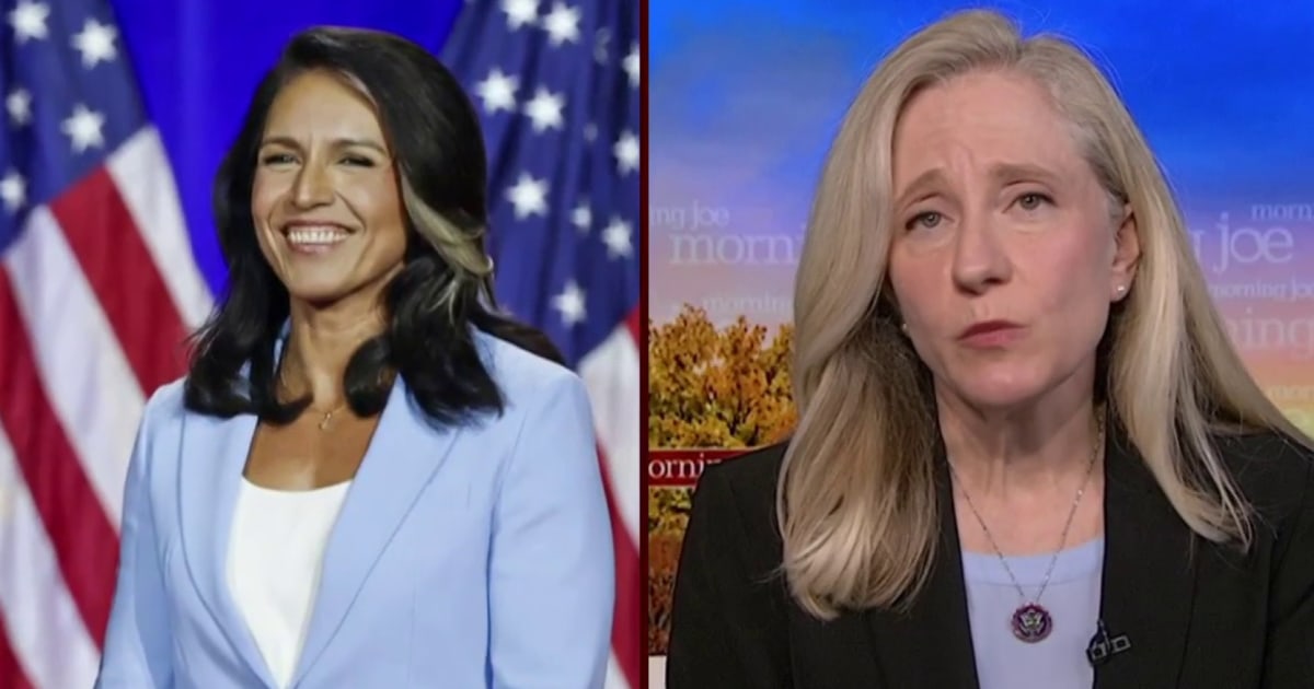 House Intelligence member raises alarm on Tulsi Gabbard as DNI pick [Video]