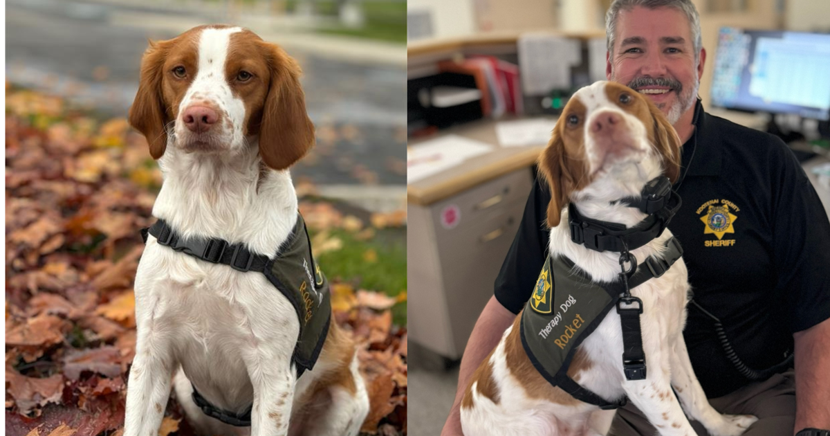 Kootenai County therapy dog nominated for First Responders Paws Award | News [Video]