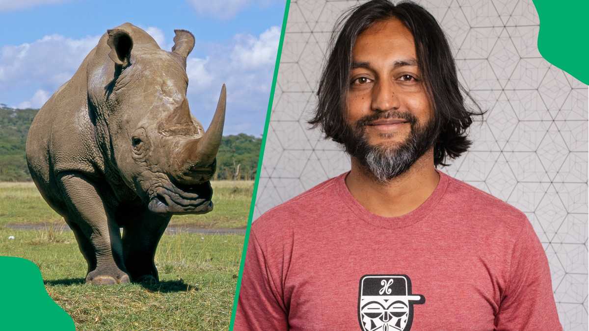 Using AI to Save Rhinos: South African Innovators Fight Poaching with Tech [Video]