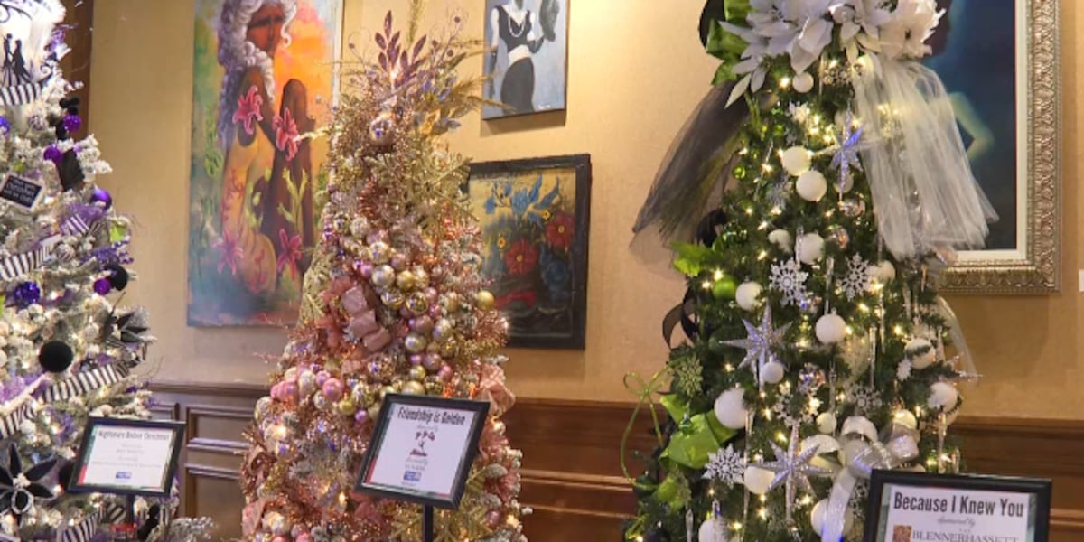 2024 Festival of Trees ongoing at Blennerhassett Hotel [Video]