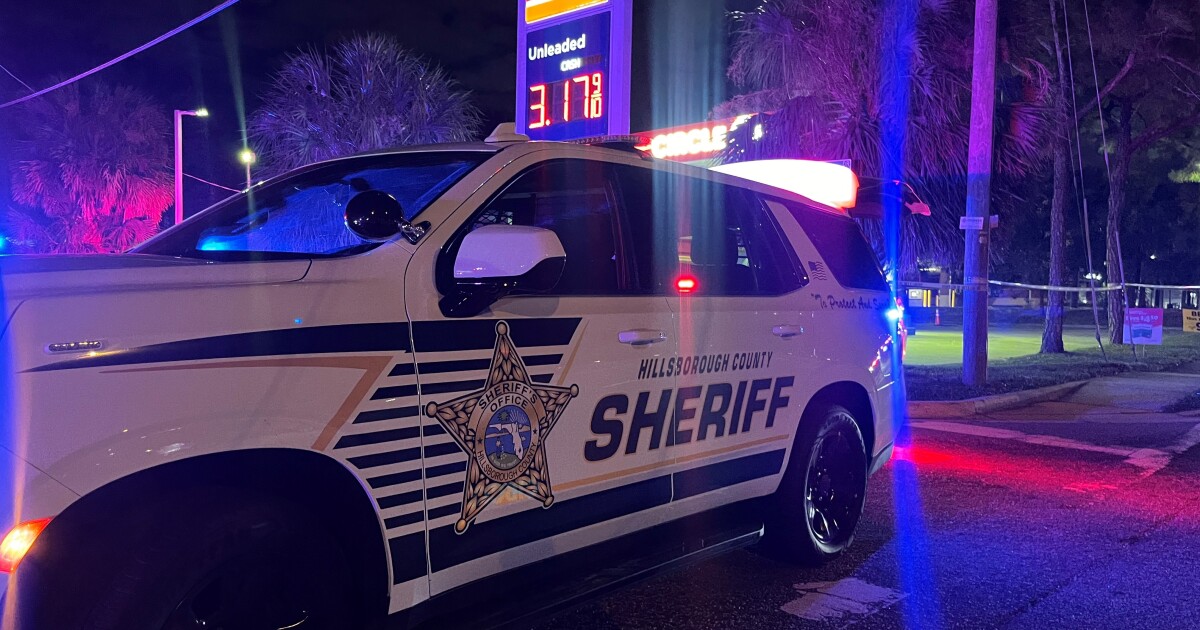 Deputy shoots, kills driver after gun pulled during traffic stop: HCSO [Video]