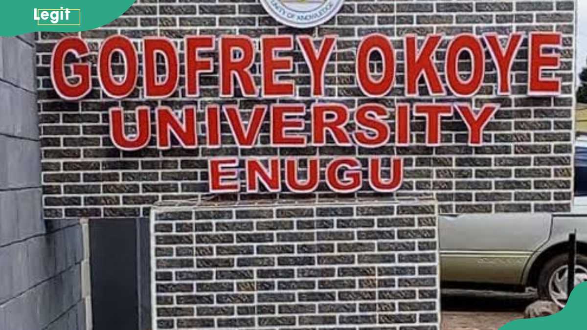 Godfrey Okoye University Secures N90 Million DAAD Grant for Sustainable Entrepreneurship [Video]