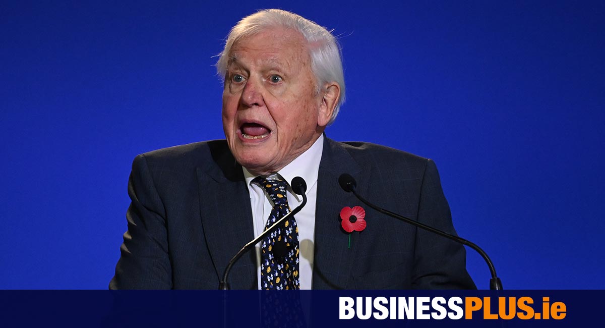 David Attenborough’s fury as AI firms steal TV icons voice for reports [Video]