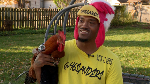 Meet the rooster who’s taking Milwaukee by storm [Video]