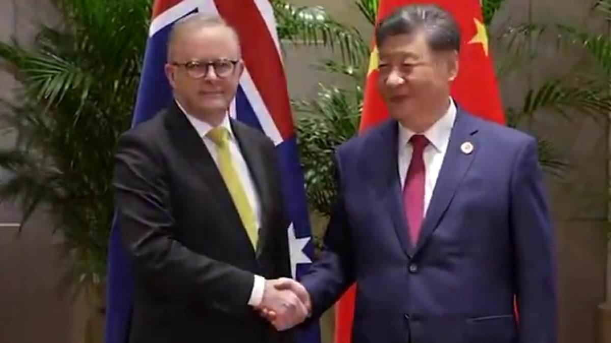 Three simple words Xi Jinping used to send a pointed message to Anthony Albanese during their G20 meeting – after China gave PM the ‘compliment that no-one wants’ [Video]