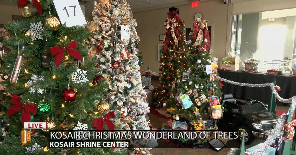 Keith Kaiser gets a look at the different Christmas tree decorations | [Video]