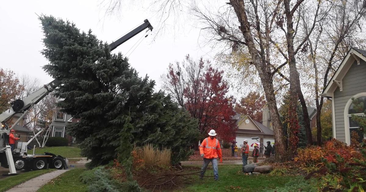 Christmas tree arrives at The Durham Museum [Video]