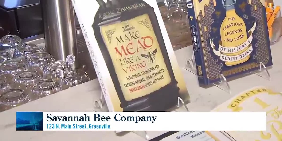 Mead tasting experience Downtown Greenville [Video]