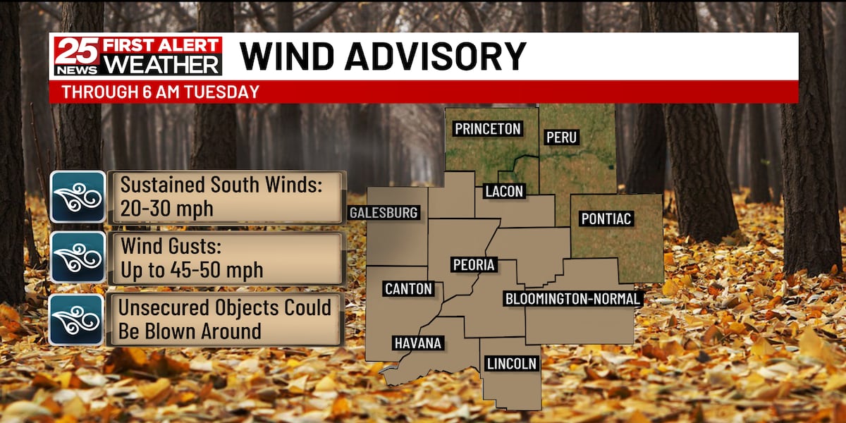 Wind Advisory in effect for strong winds overnight [Video]