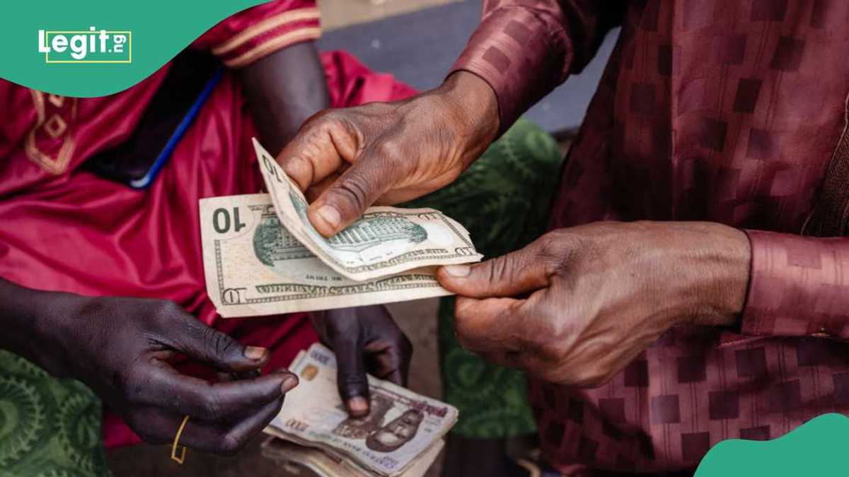 Report Predicts Naira to Dollar Exchange Rate, New Fuel Price by 2025 [Video]