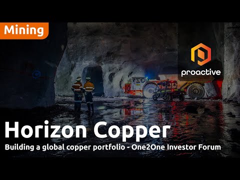 Horizon Copper: Building a Global Copper Portfolio - One2One Investor Forum [Video]