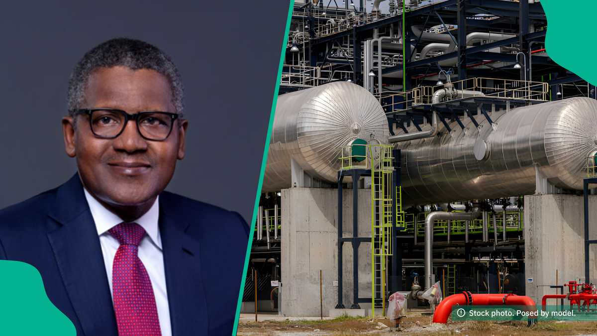 Dangote Refinery in Strong Competition With Imported Petrol, Seeks Loan to Boost Operation [Video]