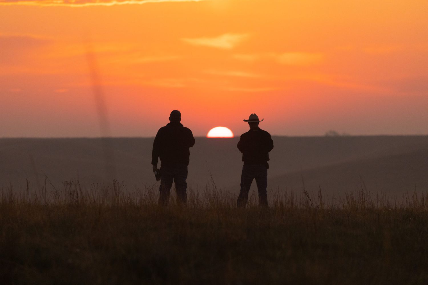 Indigo Ag and Truterra to Collaborate on Sustainability Solutions [Video]