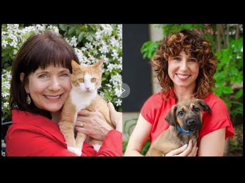 39. Enriching Feline Lives and Understanding Pet Behavior [Video]