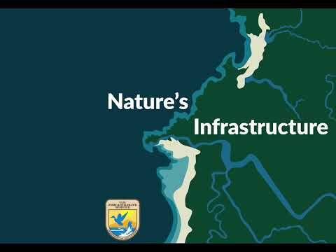 Natures Infrastructure S:1 E8 Connecting the Flow: Bridging the Maple River and Its Cultural Legacy [Video]