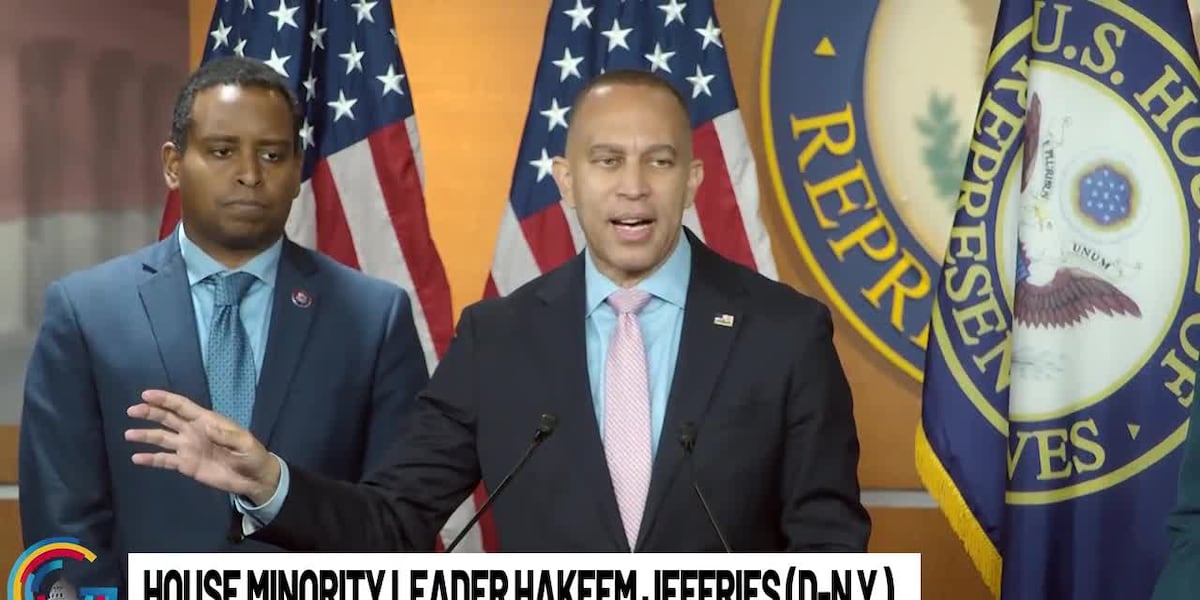 House Democrats outline priorities for 119th Congress [Video]