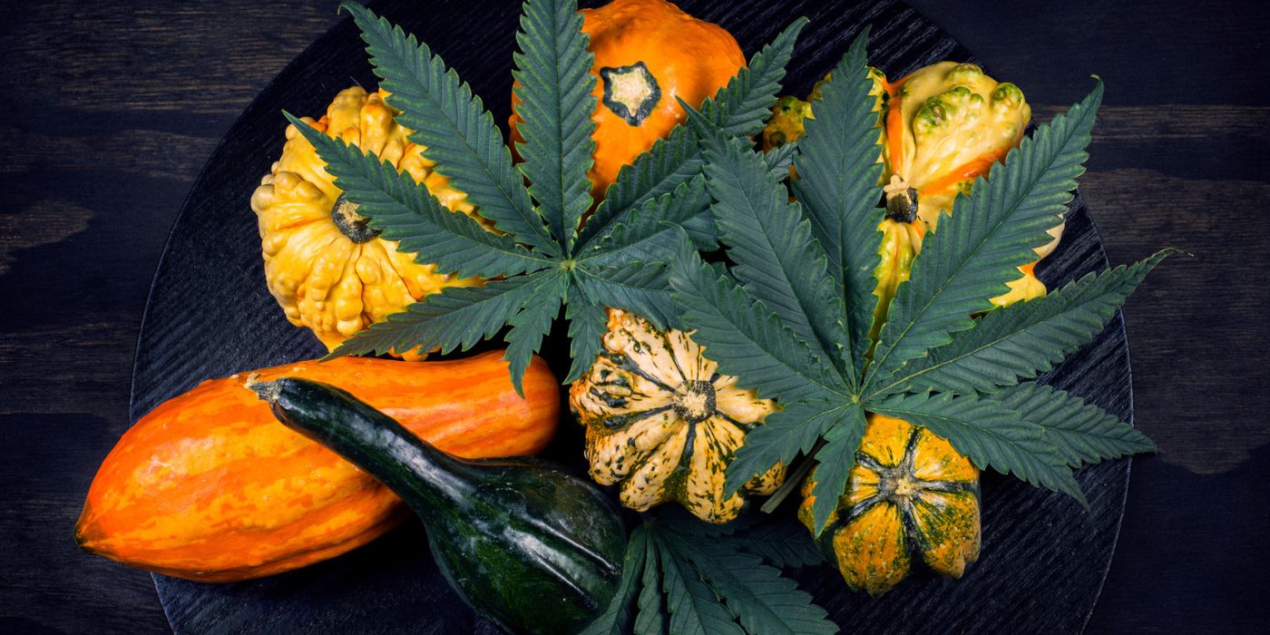 Happy Danksgiving: Cannabis-Infused Recipes & Traditions [Video]