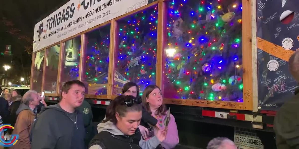 Capitol Christmas Tree [Video]