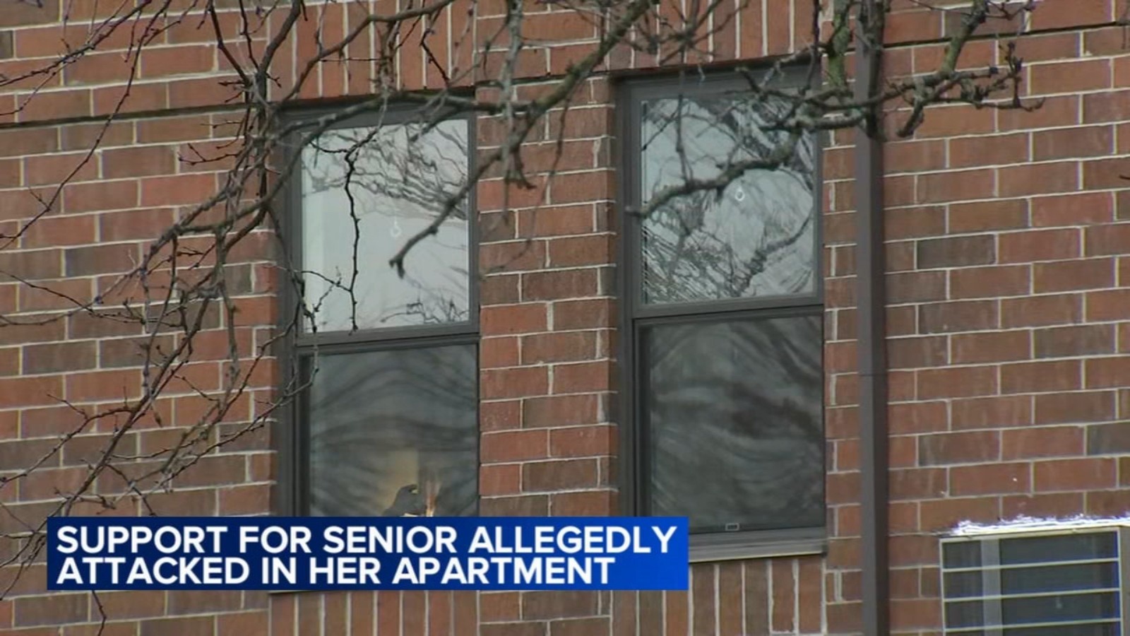 Chicago senior citizen claims resident who attacked her allowed to move back into Washington Park building [Video]