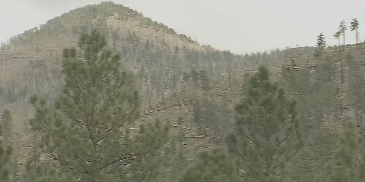 NV Energy on watch for proactive outage at Mt. Charleston [Video]