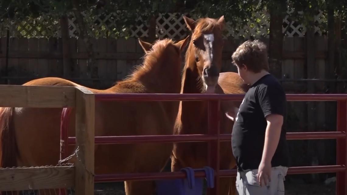 San Antonio grandparents honored at northwest-side ranch [Video]