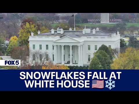 Snow falls at the White House [Video]