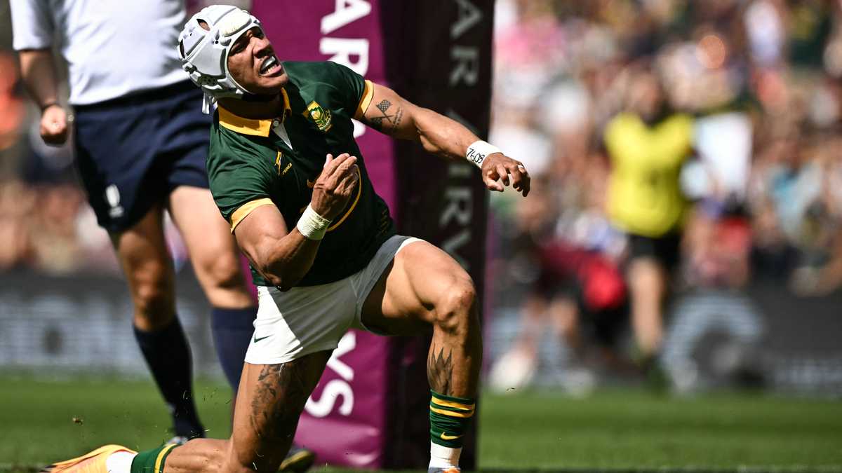 Video: South Africans Groove to Hop Hop Spinnekop Viral Dance After Boks