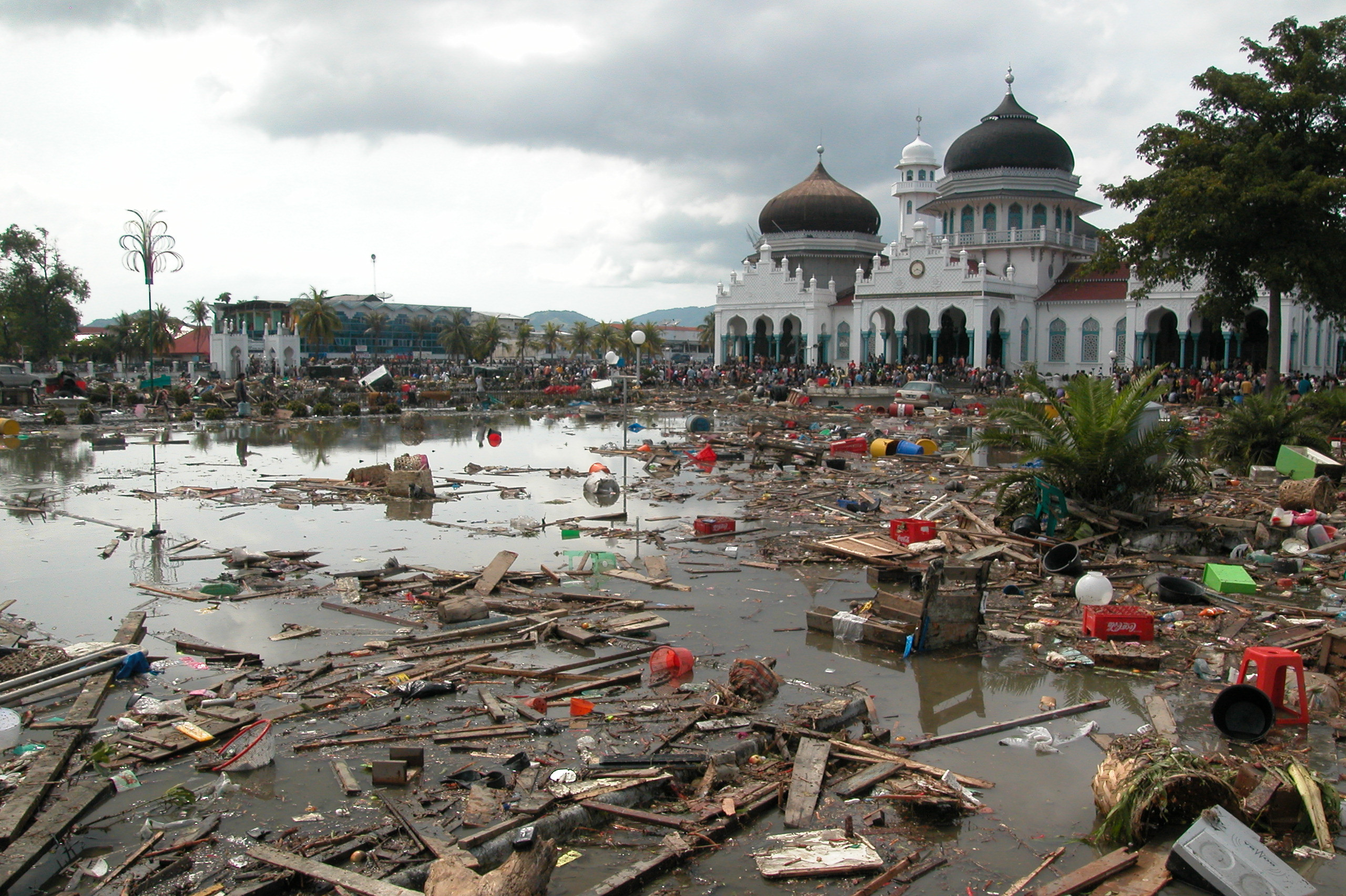 How US Warning Center Responded to Catastrophic Tsunami: 