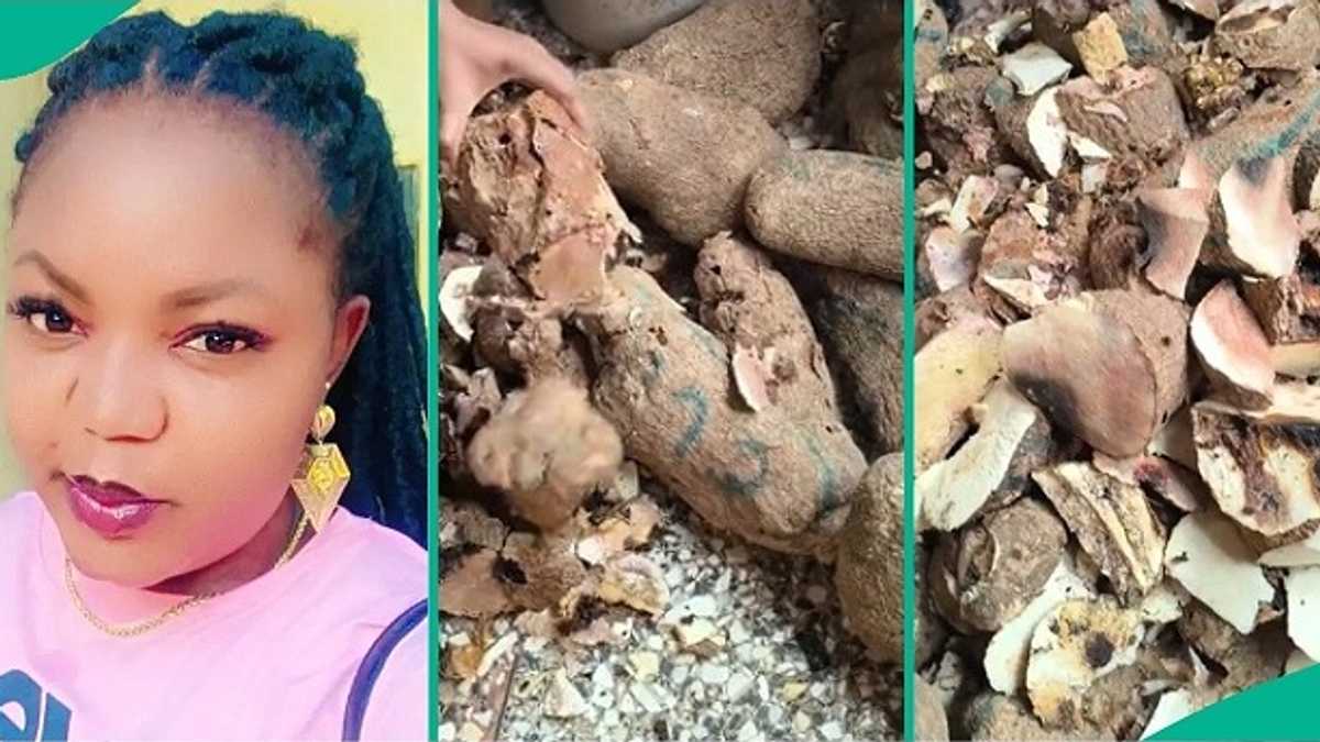 Nigerian Lady Who Bought Plenty Yams in Market Discovers They