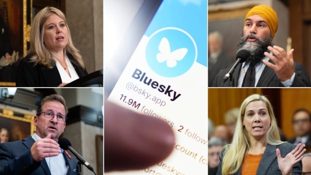 Canadian MPs among social media users pivoting from X to Bluesky in the wake of U.S. vote [Video]