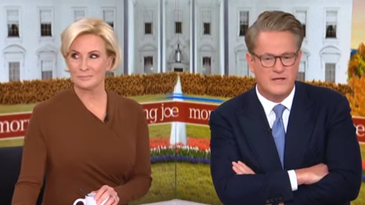 Awkward moment Mika Brzezinski looks away while Joe Scarborough slams influencers in bizarre rant [Video]