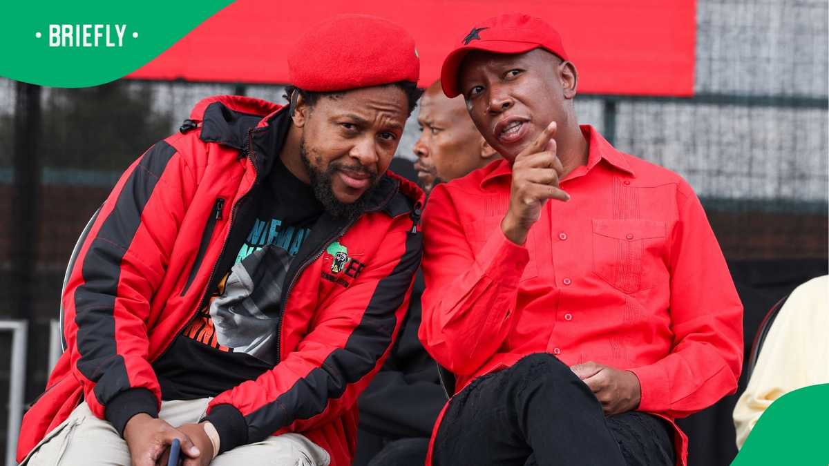 Julius Malema Dismisses Rumours About Mbuyiseni Ndlozi, Describes It As Shebeen Gossip [Video]