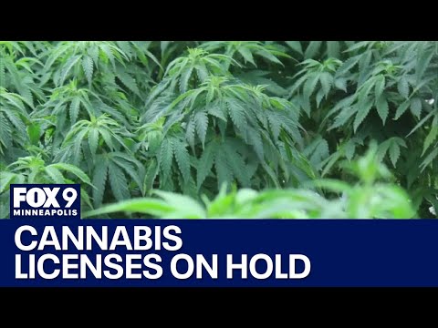 Cannabis license lotter for social equity applicants on hold after legal challenge [Video]