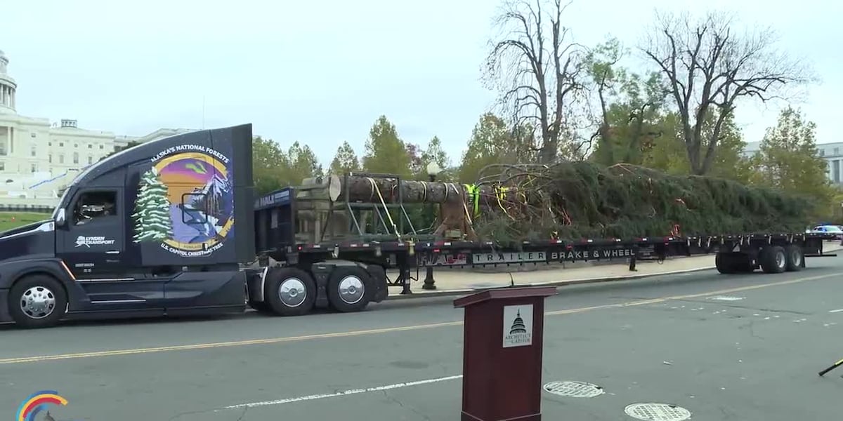 Capitol Christmas Tree finishes cross country journey [Video]