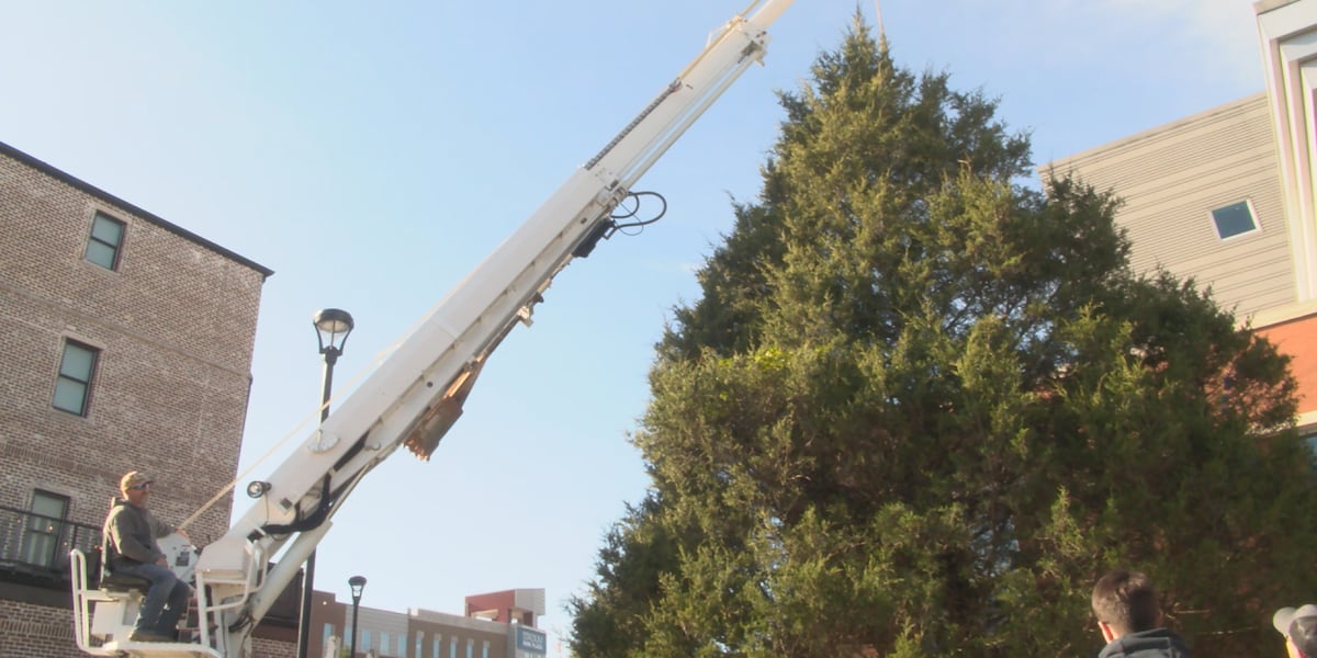 SKyPAC installs 30-foot Christmas tree outside arts center [Video]