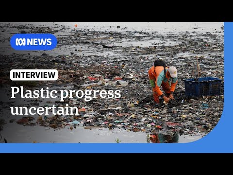 Doubts surround final agreement on plastic pollution | The World [Video]