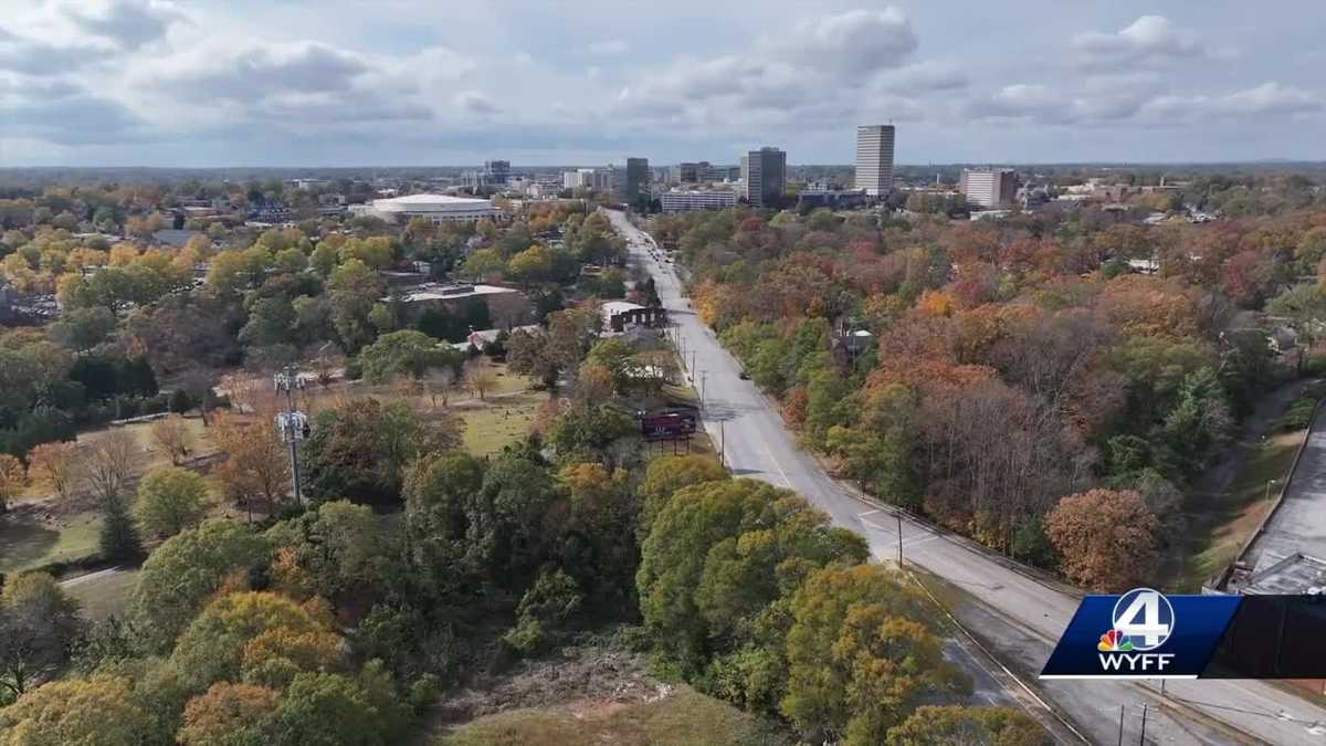 Council receives update on proposed neighborhood plan [Video]